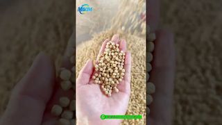200-4000 kg/h wet Τύπος πλωτή μηχανή εξώθησης pellet τροφοδοσίας ψαριών #wet-type fish feed extruder