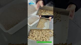 DGP-85 Γραμμή Παραγωγής Πέλλετ Ιχθυοτροφών | Introduction & Full Process Demo#fishfeedproductionline