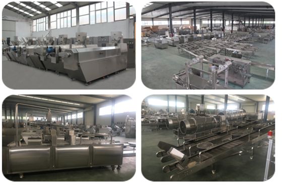 WEG / Κινητήρας Siemens Μηχανή Παρασκευής Λιχουδιών για Κατοικίδια με Προσθήκη Διαφόρων Εξαρτημάτων