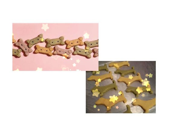 Χρωματισμένο μπισκότο σκυλιών -280 δρχ. ανοξείδωτο που κατασκευάζει τη μηχανή με τη σταθερή απόδοση