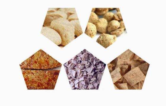 Αγγλική Έκδοση Γραμμής Πρωτεΐνης Σόγιας / Μηχανή Παρασκευής Κομματιών Σόγιας σε Μορφή AutoCAD