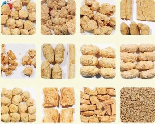 Κατασκευασμένη γραμμή διαδικασίας εξωθητών τροφίμων πρόχειρων φαγητών ινών χορτοφάγος, μοναδικό σχέδιο, υπηρεσίες 5-αστεριών