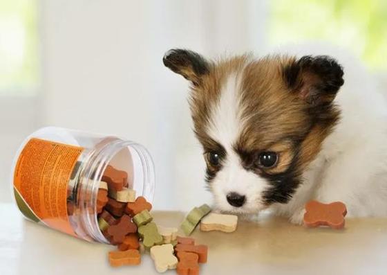 Τα δόντια προσοχής σκυλιών που μασούν τα πρόχειρα φαγητά Pet μεταχειρίζονται τη μηχανή 380V ή την εξατομικεύσιμη τάση