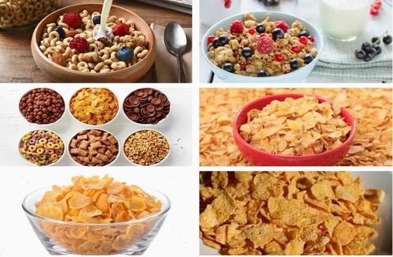 Νέα γραμμή επεξεργασίας νιφάδων καλαμποκιού από ανοξείδωτο χάλυβα, μηχανή εξώθησης διπλού κοχλία